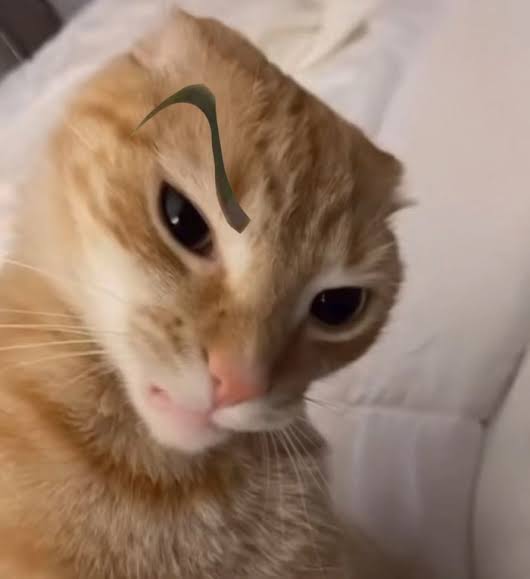 Ảnh 2